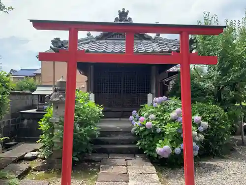 金鳳山 正法寺の鳥居