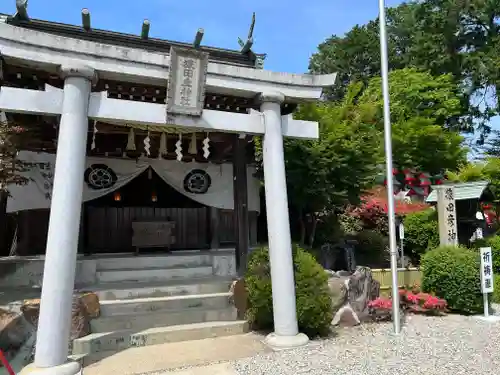 猿田彦神社の鳥居