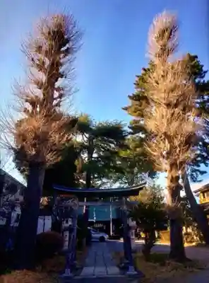 田端神社(東京都)