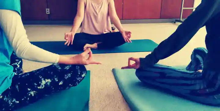 法話と天井絵の寺 観音寺の体験その他