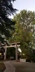 葛西神社の鳥居