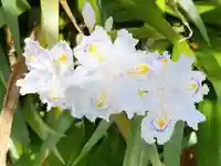 西方山極楽寺(岐阜県)