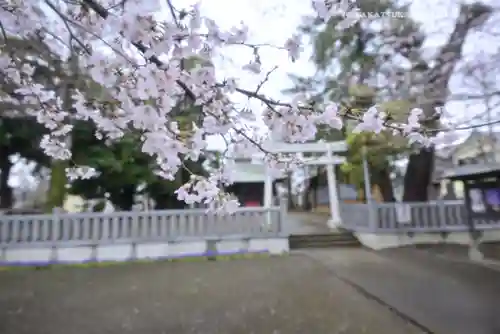 今泉神社(神奈川県)