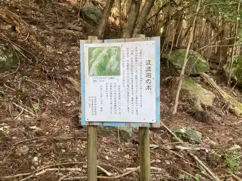 立岩神社の歴史