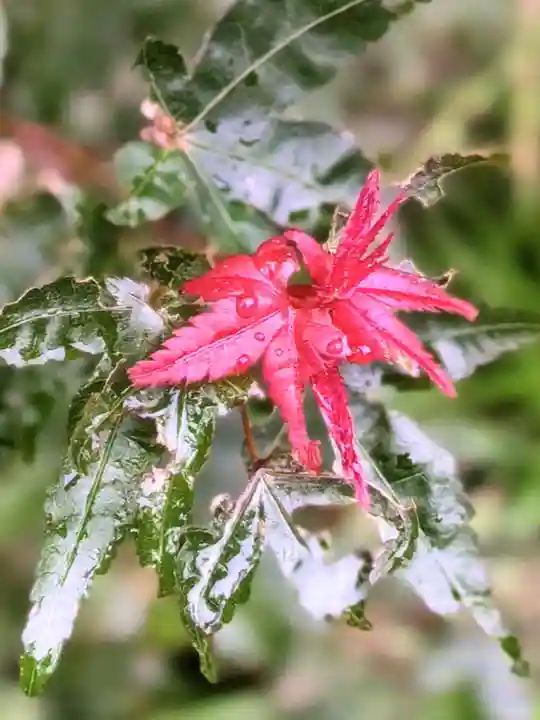 成子天神社(東京都)