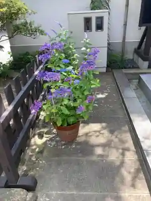 松嶺院(神奈川県)