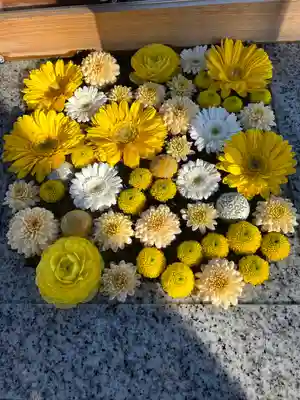 川越八幡宮(埼玉県)