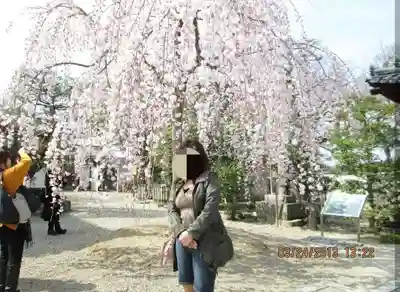 平等院(京都府)