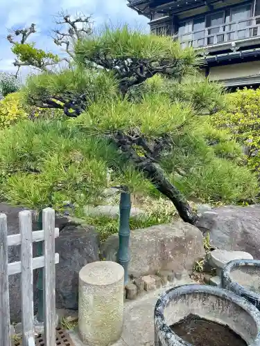 日蓮宗龍口山本龍寺の{uncategorized: "未分類", other: "その他", undefined: "問題あり", building: "その他建物", grave: "お墓", sacred_gate: "鳥居", guardian: "狛犬", statue: "像", buddha: "仏像", history: "歴史", nature: "自然", garden: "庭園", animal: "動物", pagoda: "塔", temizu: "手水舎", mountain_gate: "山門・神門", sanctuary: "本殿・本堂", subordinate: "末社・摂社", art: "芸術", scenery: "景色", jizo: "地蔵", ema: "絵馬", goshuin: "御朱印", omikuji: "おみくじ", items: "授与品その他", amulet: "お守り", goshuincho: "御朱印帳", eats: "食事", festival: "お祭り", votive_dance: "神楽", shichigosan: "七五三参", wedding: "結婚式", experience: "体験その他", initially: "初詣", around: "周辺", anti_infection: "感染症対策"}