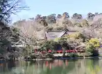 井の頭弁財天(大盛寺)の{uncategorized: "未分類", other: "その他", undefined: "問題あり", building: "その他建物", grave: "お墓", sacred_gate: "鳥居", guardian: "狛犬", statue: "像", buddha: "仏像", history: "歴史", nature: "自然", garden: "庭園", animal: "動物", pagoda: "塔", temizu: "手水舎", mountain_gate: "山門・神門", sanctuary: "本殿・本堂", subordinate: "末社・摂社", art: "芸術", scenery: "景色", jizo: "地蔵", ema: "絵馬", goshuin: "御朱印", omikuji: "おみくじ", items: "授与品その他", amulet: "お守り", goshuincho: "御朱印帳", eats: "食事", festival: "お祭り", votive_dance: "神楽", shichigosan: "七五三参", wedding: "結婚式", experience: "体験その他", initially: "初詣", around: "周辺", anti_infection: "感染症対策"}