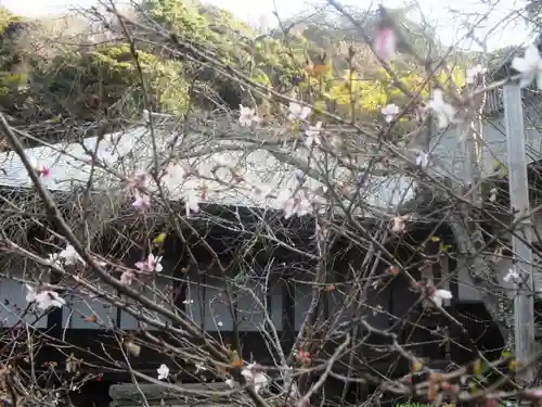 瑞泉寺のその他建物