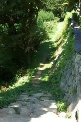 観音正寺の自然