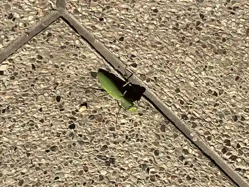 日長神社(愛知県)