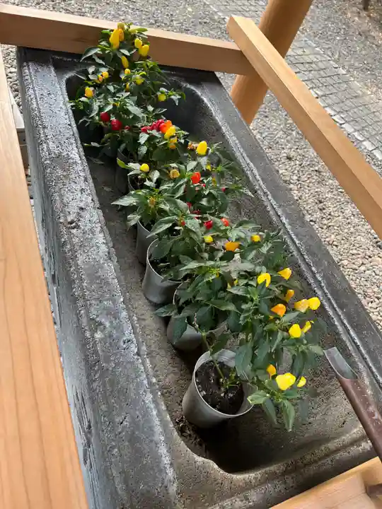 上目黒氷川神社(東京都)