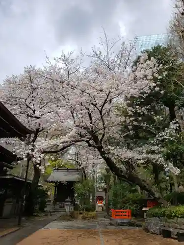 熊野神社(東京都)