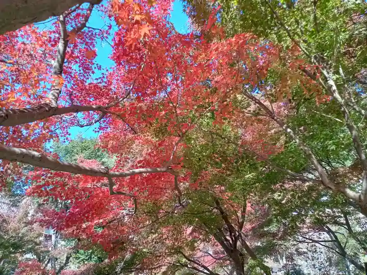 慈眼寺(大阪府)