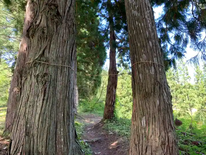 三石神社の自然