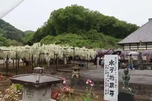 長泉寺の庭園