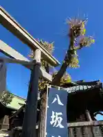 八坂神社(神奈川県)