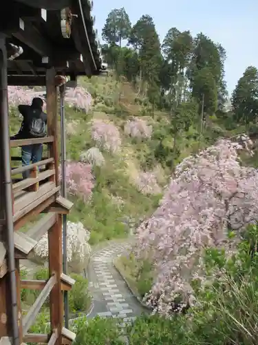 善峯寺の景色