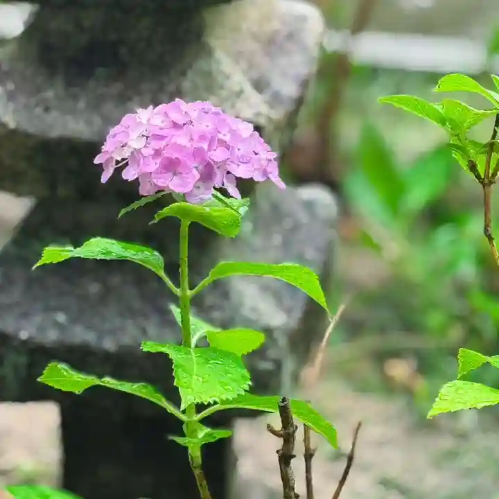 伊勢の国 四天王寺(三重県)