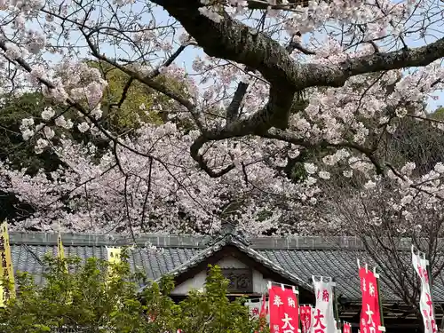 五井山 妙善院の自然
