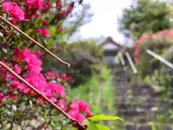 和神社(長野県)