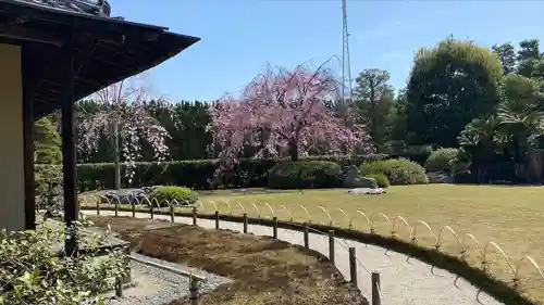 城南宮の庭園