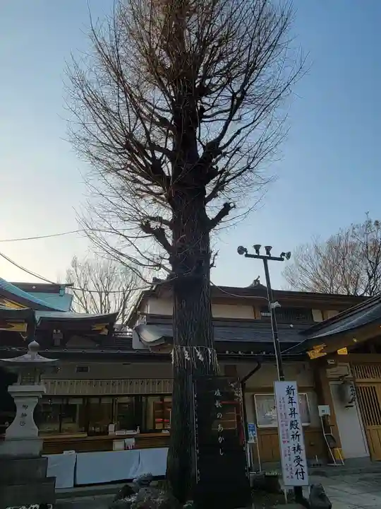 居木神社の自然