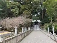 白山神社の自然