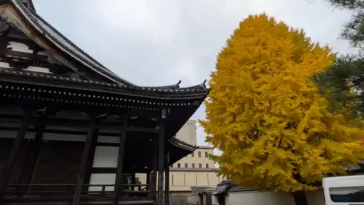 本法寺(京都府)