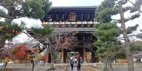くろ谷 金戒光明寺の山門・神門
