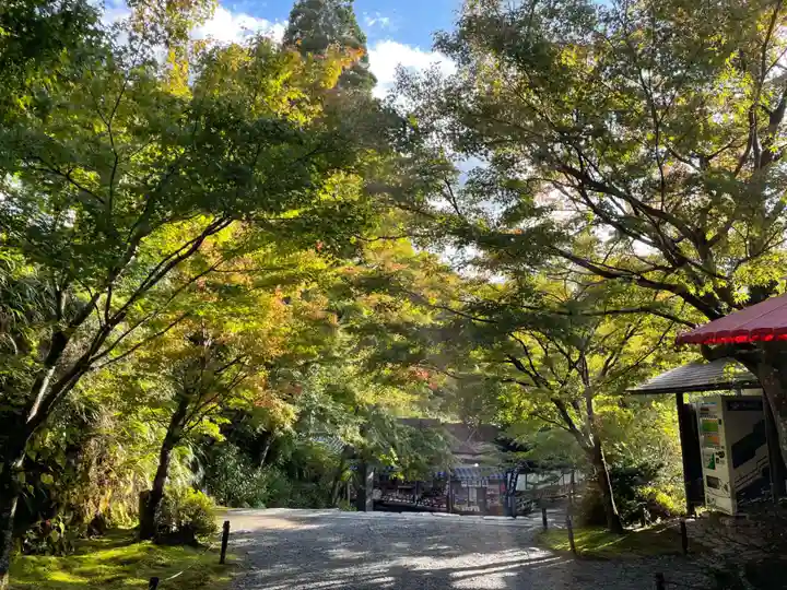 実光院(京都府)