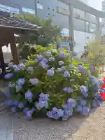 三輪神社(愛知県)