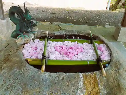 立志神社の手水舎