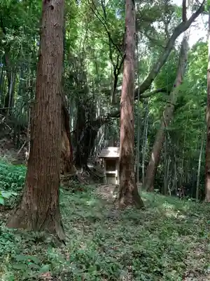 稲荷大明神(千葉県)