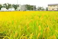 瀧神社(東京都)
