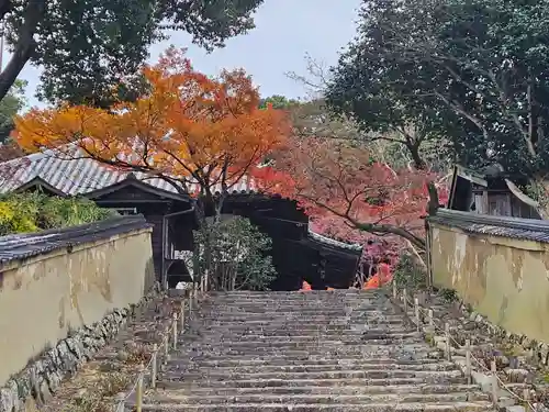 白毫寺(奈良県)