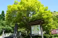土津神社|こどもと出世の神さまの景色