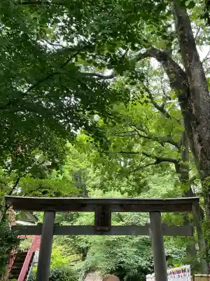 東郷神社の{uncategorized: "未分類", other: "その他", undefined: "問題あり", building: "その他建物", grave: "お墓", sacred_gate: "鳥居", guardian: "狛犬", statue: "像", buddha: "仏像", history: "歴史", nature: "自然", garden: "庭園", animal: "動物", pagoda: "塔", temizu: "手水舎", mountain_gate: "山門・神門", sanctuary: "本殿・本堂", subordinate: "末社・摂社", art: "芸術", scenery: "景色", jizo: "地蔵", ema: "絵馬", goshuin: "御朱印", omikuji: "おみくじ", items: "授与品その他", amulet: "お守り", goshuincho: "御朱印帳", eats: "食事", festival: "お祭り", votive_dance: "神楽", shichigosan: "七五三参", wedding: "結婚式", experience: "体験その他", initially: "初詣", around: "周辺", anti_infection: "感染症対策"}
