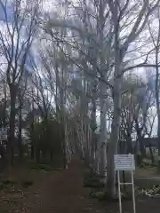 江南神社の建物その他