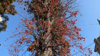 新宮神社(滋賀県)