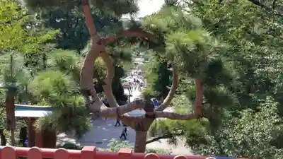 清水観音堂のその他建物