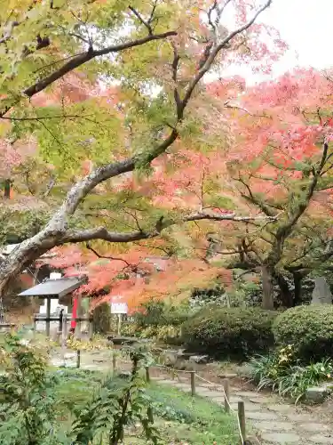 薬王寺の庭園