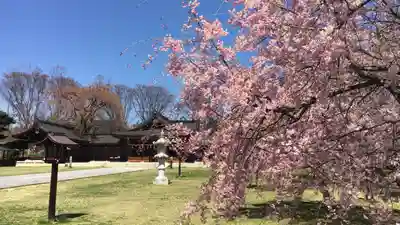 長野縣護國神社(長野県)