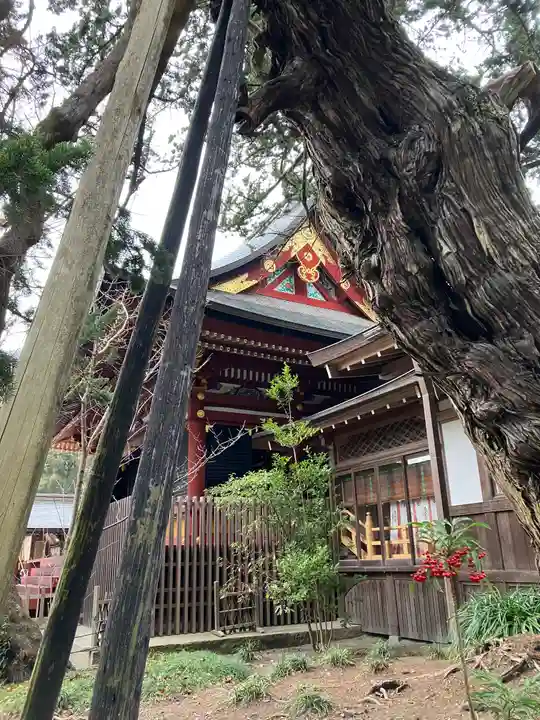 鶴岡八幡宮の自然