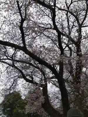 気比神社(福井県)