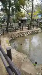 師岡熊野神社の庭園