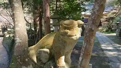 五所駒瀧神社の狛犬