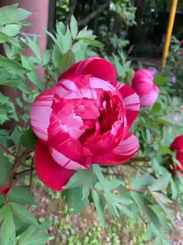 妙雲寺(栃木県)